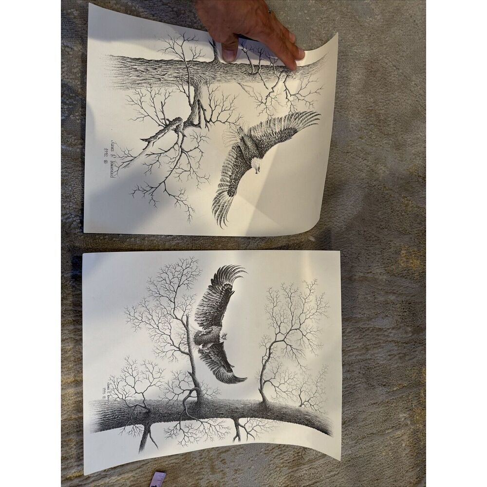 2 Unframed 1992 And 1995 ART PRINT S/N James P. Townsend BALD EAGLE in FLIGHT